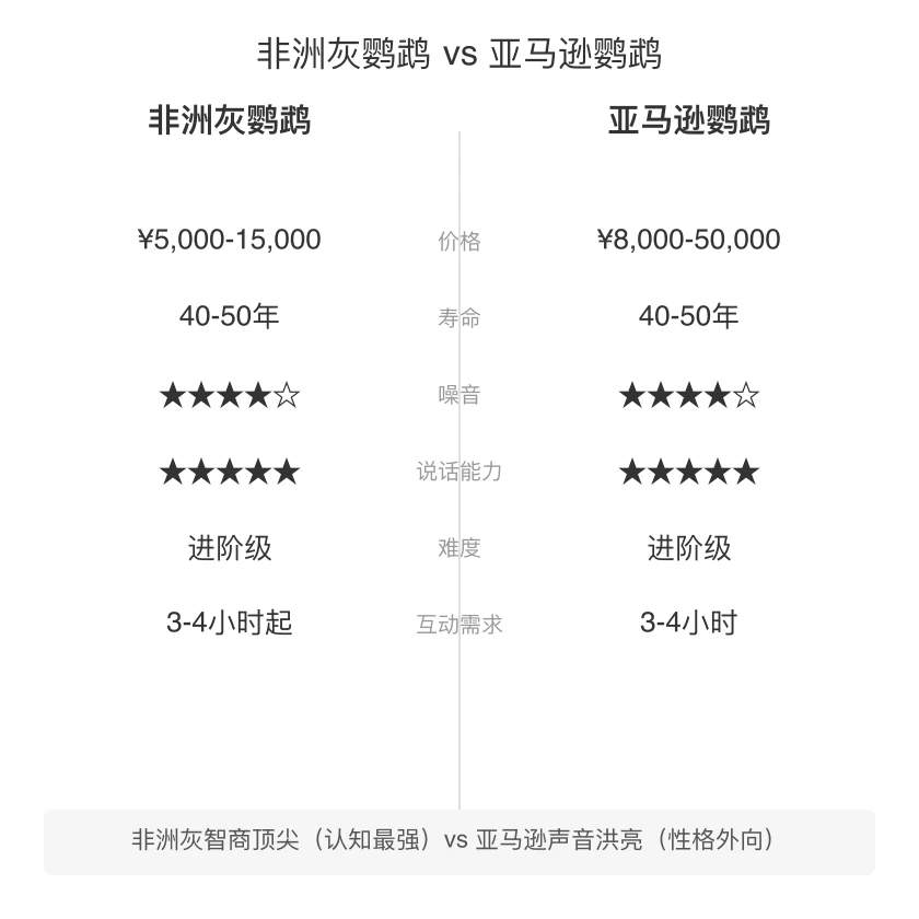 非洲灰鹦鹉 vs 亚马逊鹦鹉 对比