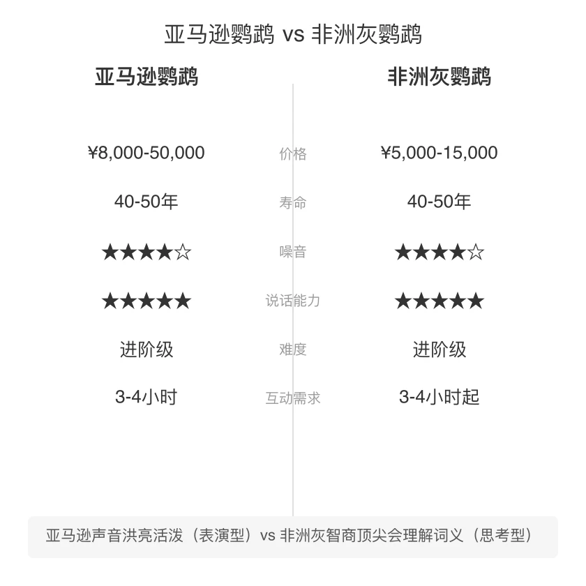 亚马逊鹦鹉 vs 非洲灰鹦鹉 对比