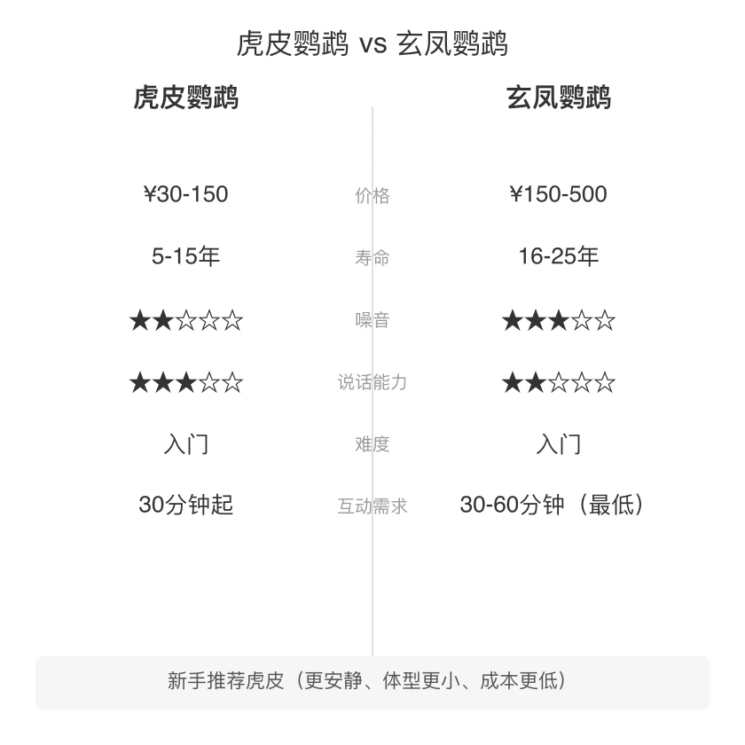 虎皮鹦鹉 vs 玄凤鹦鹉 对比