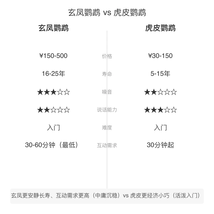 玄凤鹦鹉 vs 虎皮鹦鹉 对比