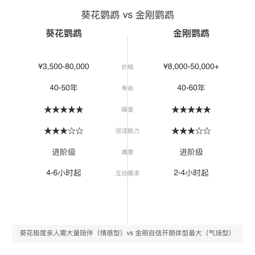 葵花鹦鹉 vs 金刚鹦鹉 对比