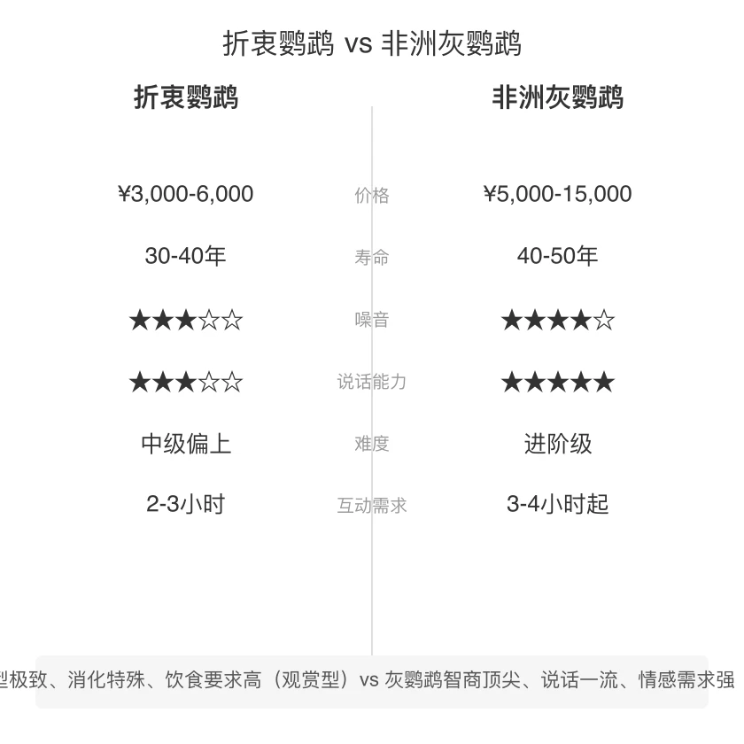折衷鹦鹉 vs 非洲灰鹦鹉 对比
