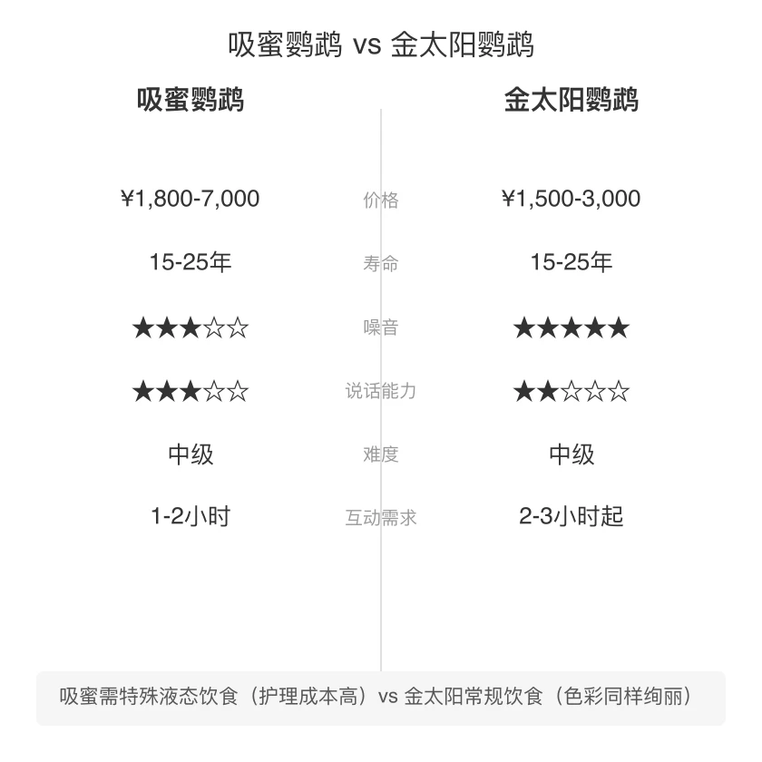 吸蜜鹦鹉 vs 金太阳鹦鹉 对比