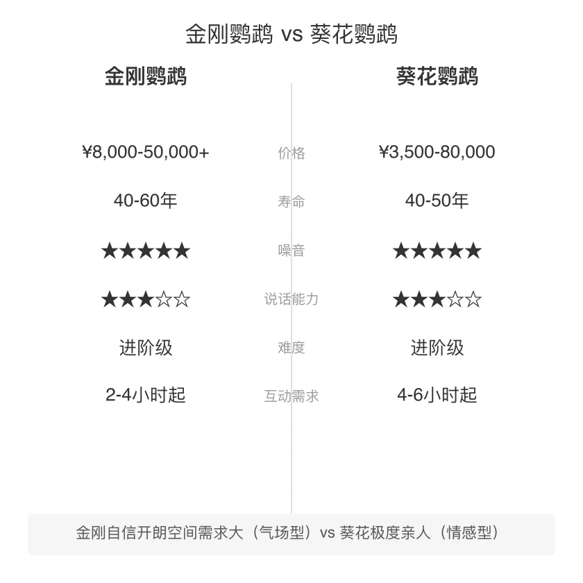 金刚鹦鹉 vs 葵花鹦鹉 对比