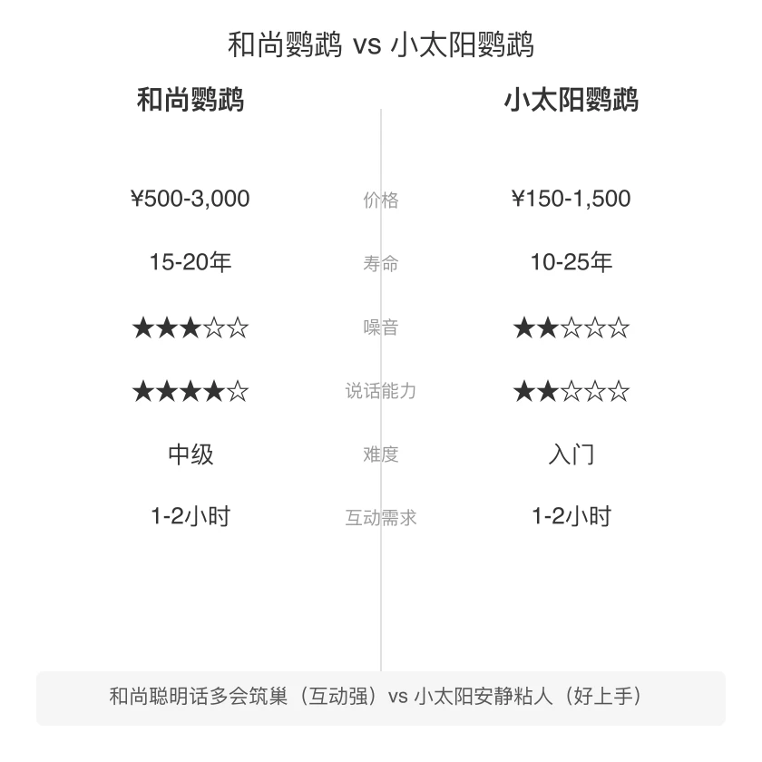 和尚鹦鹉 vs 小太阳鹦鹉 对比