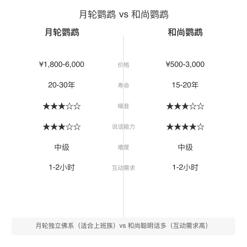 月轮鹦鹉 vs 和尚鹦鹉 对比
