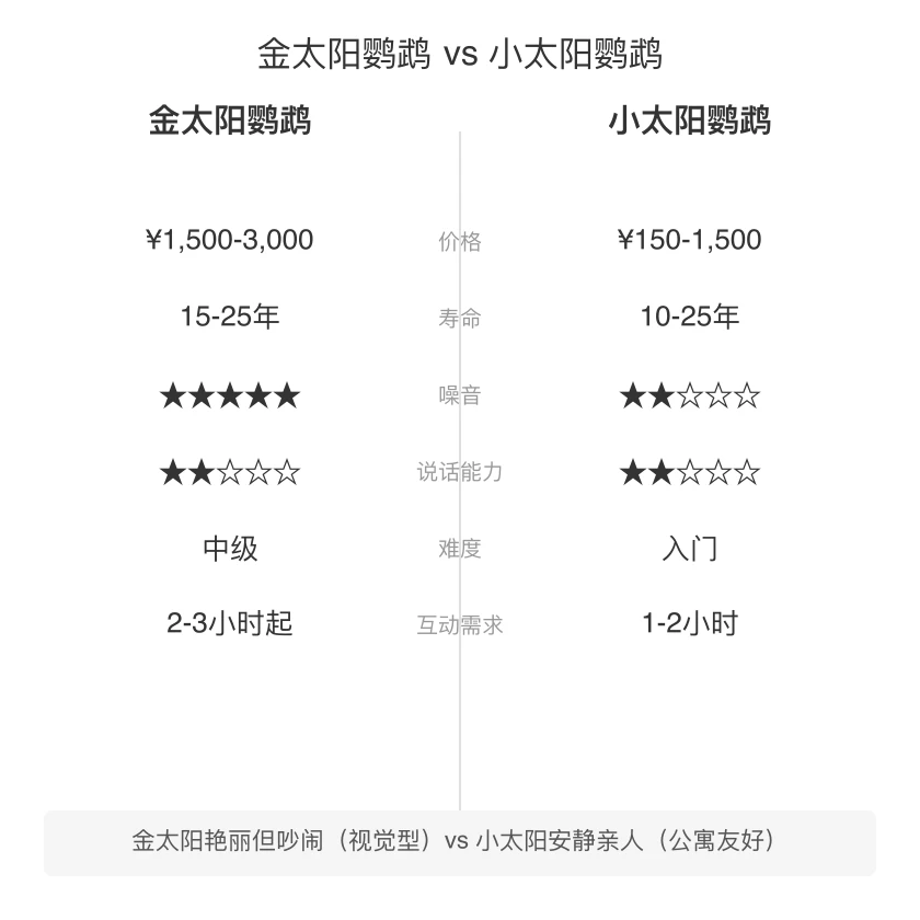 金太阳鹦鹉 vs 小太阳鹦鹉 对比