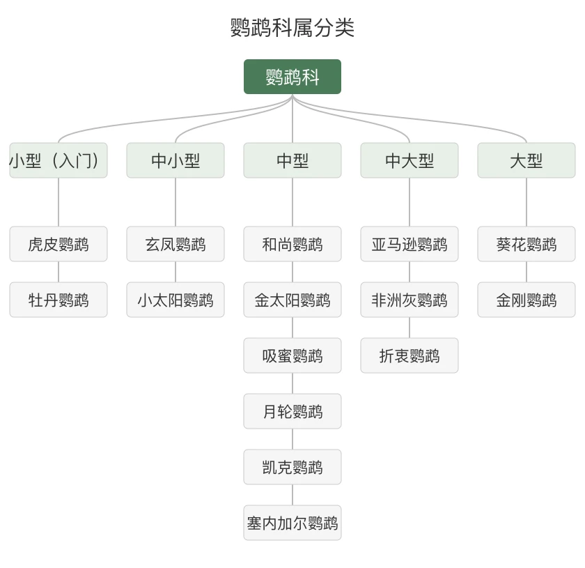 鹦鹉科属分类